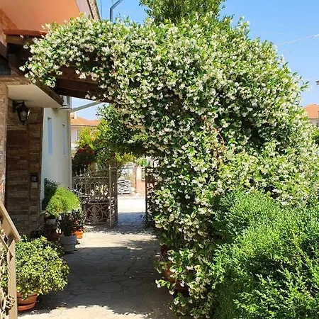 House In The Village *