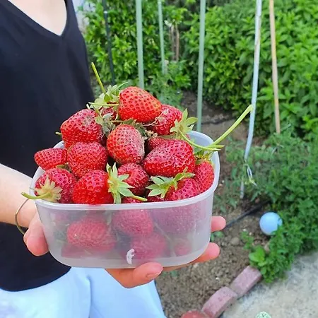 House In The Village Apartmán Fotolívos